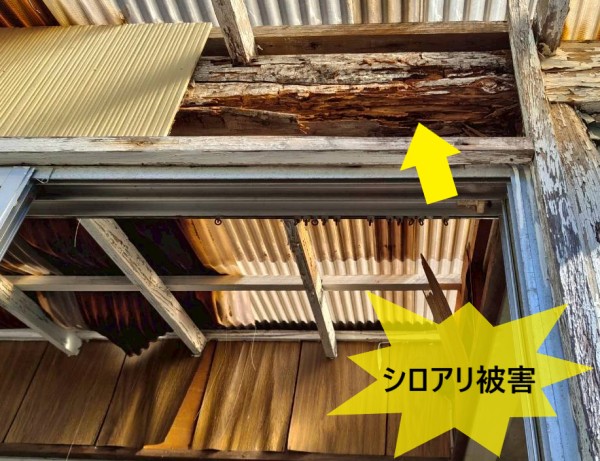 サンルームの桁がシロアリ被害