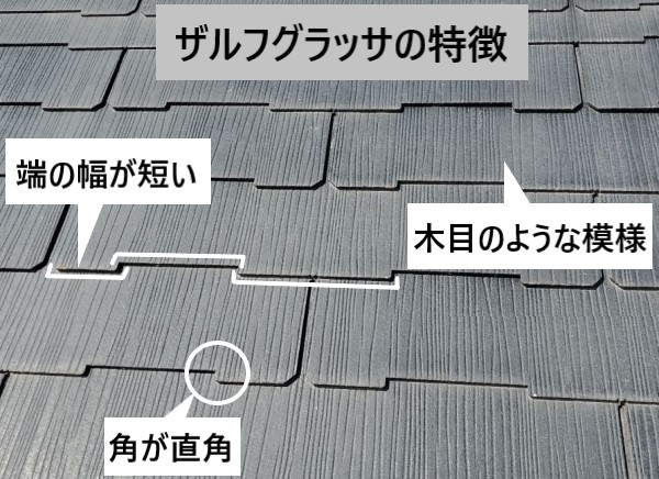 ザルフグラッサの特徴