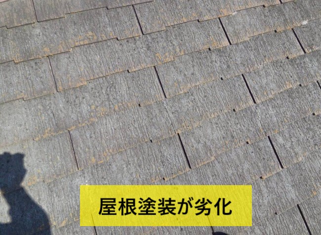 ザルフグラッサの表面の塗装が劣化している