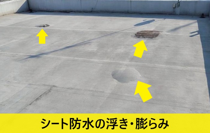 シート防水に浮きや膨らみが発生している