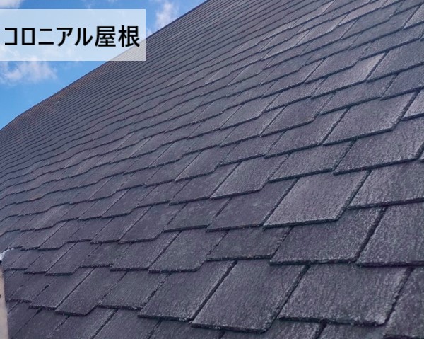 スウェーデンハウス別荘のコロニアル屋根