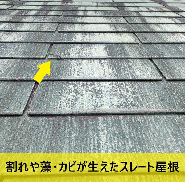 スレート屋根に割れや藻・カビが生えている