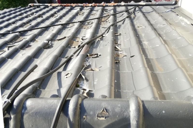 セメント瓦の塗膜剥がれは全体的に見られました