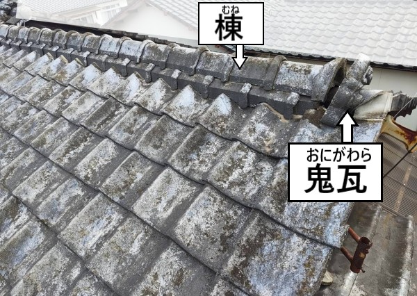 セメント瓦の棟と鬼瓦