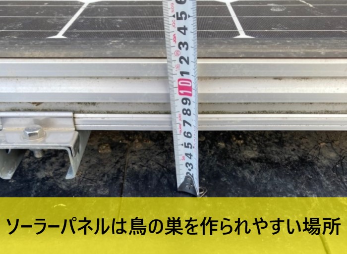 屋根に鳩の糞が大量に溜まっている