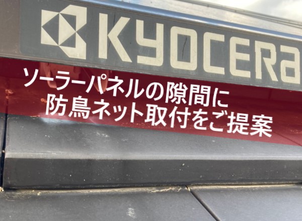 ソーラーパネルの隙間に防鳥ネット取付をご提案