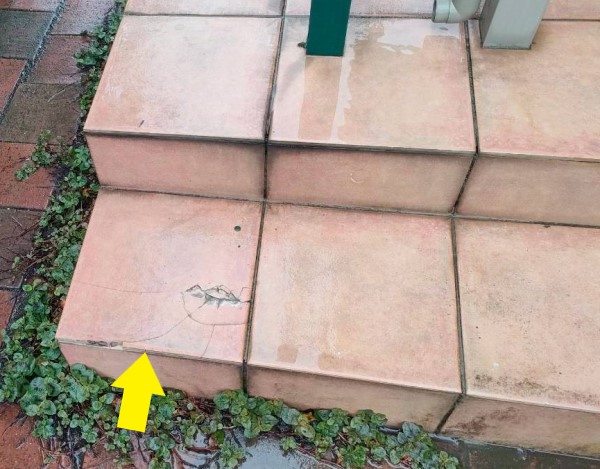 テラスのタイルが割れている