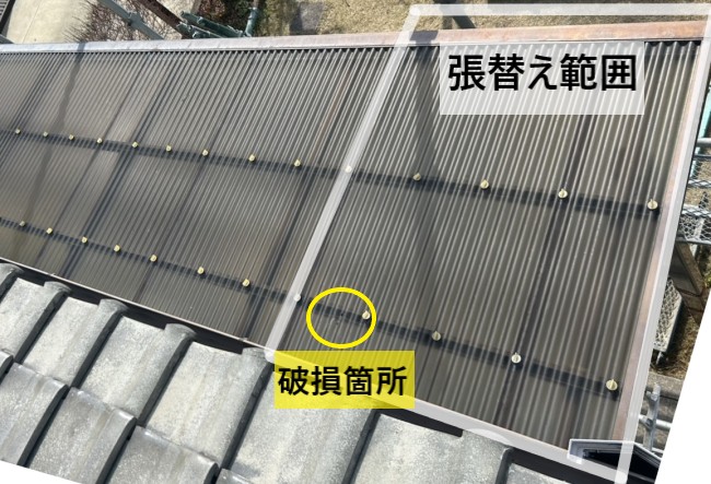 テラス屋根の張り替え範囲