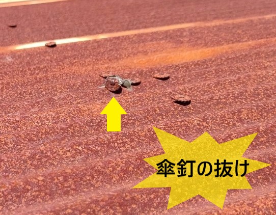 トタン屋根の傘釘が抜けている