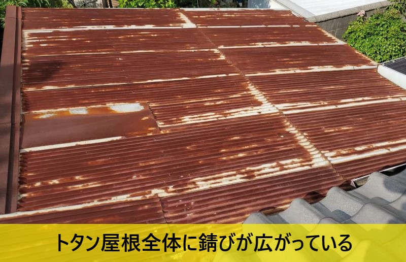 トタン屋根全体に錆びが広がっている