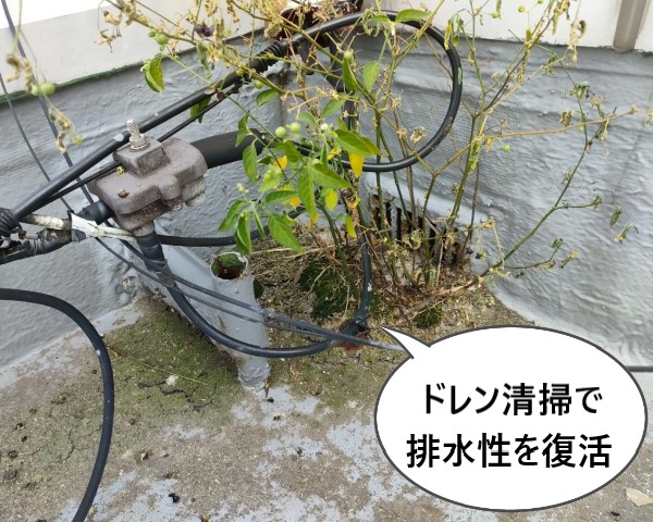 ドレン清掃で排水性を復活させます