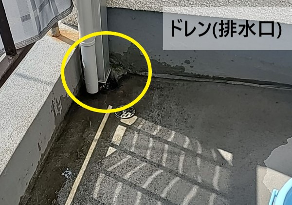 ドレン（排水口）に散水