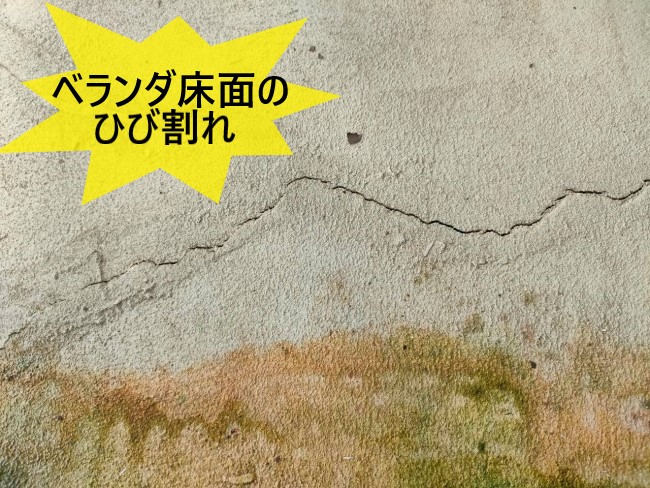 ベランダ床面のひび割れから藻が発生