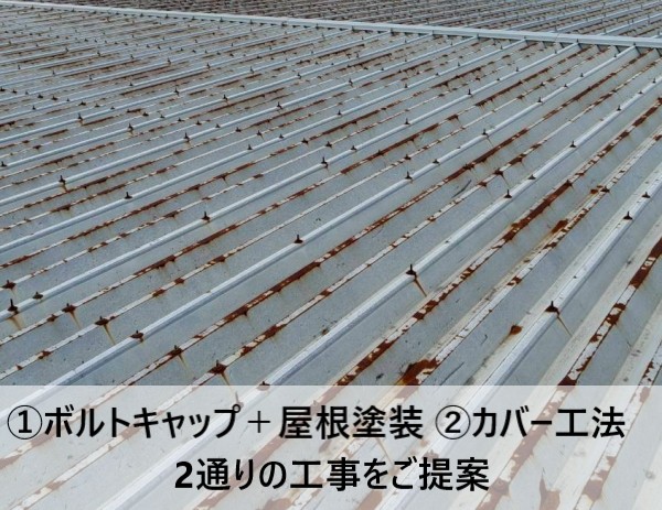 ボルトキャップと屋根塗装またはカバー工法の2通り工事をご提案しました