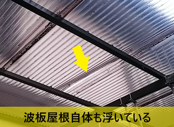ポリカフックが外れた事で波板屋根自体も浮きがある