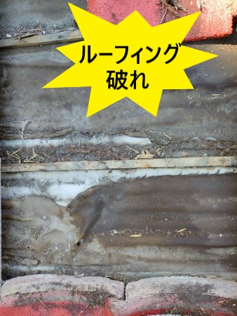 ルーフィングが破れて雨漏りしている