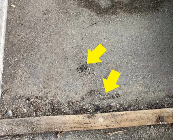 ルーフィングの穴あき