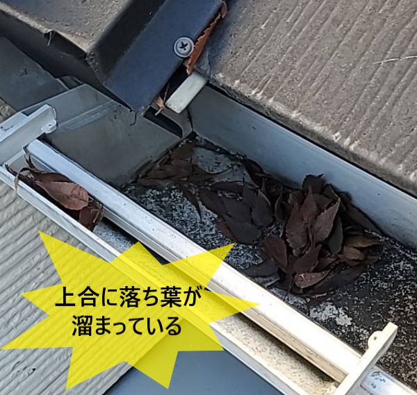 上合に落ち葉が溜まって排水不良