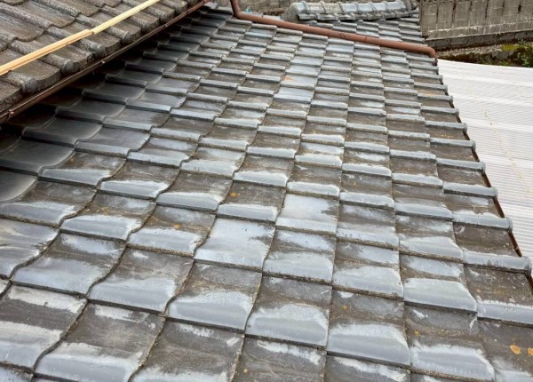 下屋の葺き直し完了