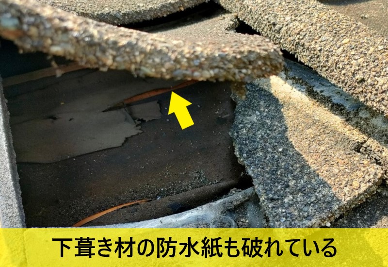 下葺き材の防水紙も破れている