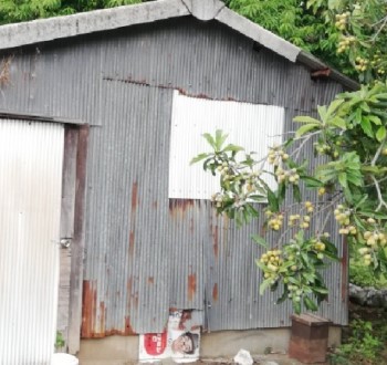 倉庫の調査を行います