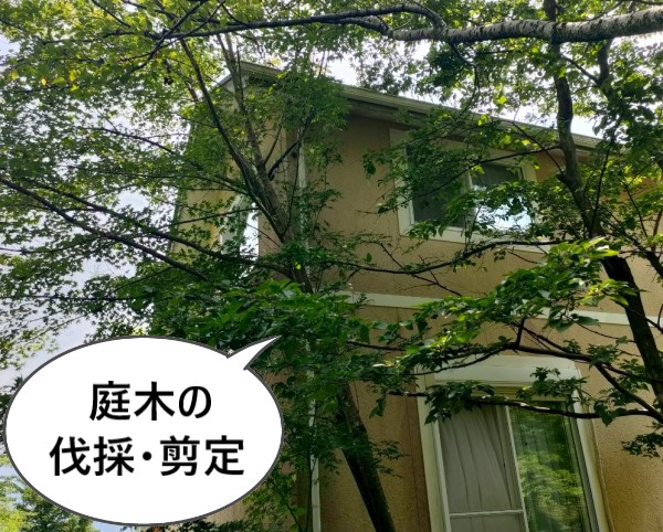 別荘の庭木の剪定もご提案