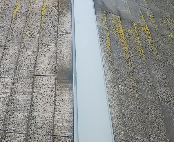 剥がれずに残った棟板金