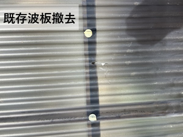 古い波板を撤去します