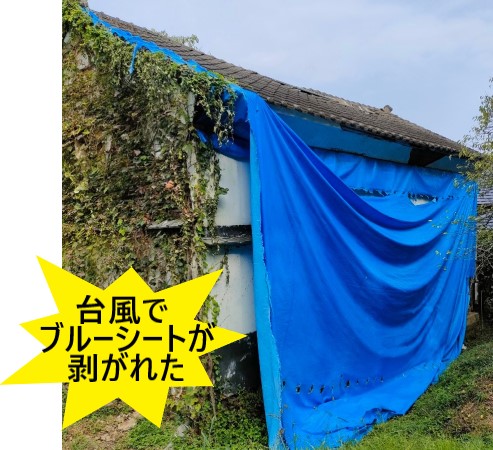 台風で応急処置のブルーシートが剥がれた