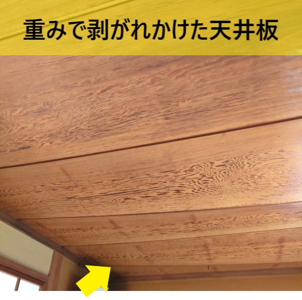 和室の天井が雨漏りの重みで剥がれかけている