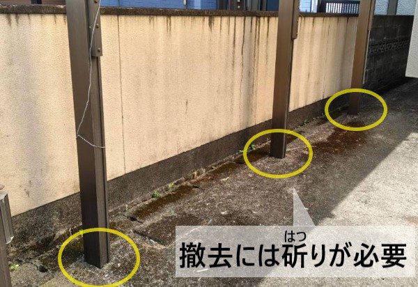 土間コンに埋まっているカーポートのため、撤去には斫りが必要です