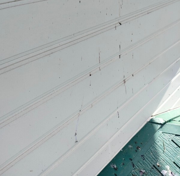 外壁にも鳥の糞被害があります