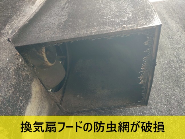 外壁に取り付けられてる換気扇フードの防虫網が破損
