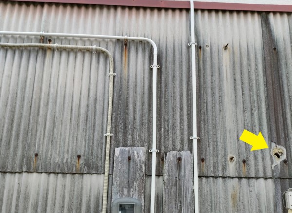 外壁波スレートに破損が見られます