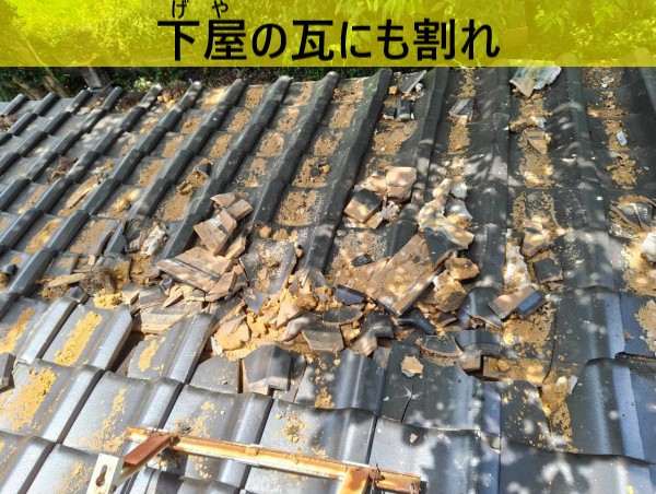 大屋根から落下した瓦で下屋の瓦にも割れ