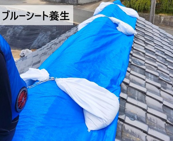 大棟のブルーシート養生