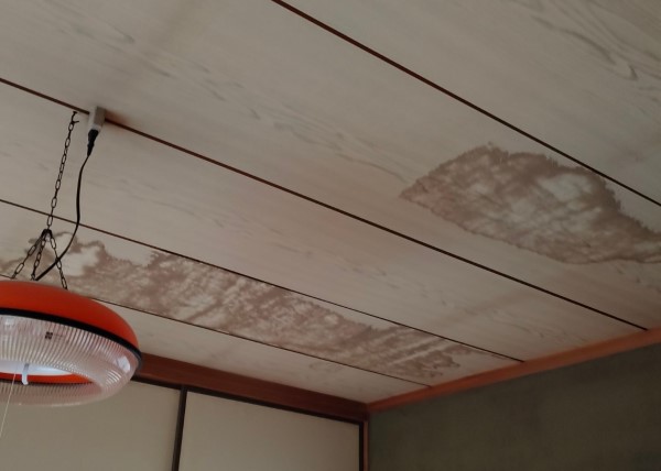 天井に雨漏りのシミがたくさんあります
