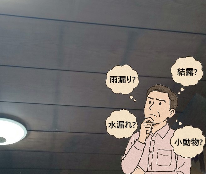 天井のシミの原因は雨漏りや水漏れ、結露、小動物など様々な原因が考えられます