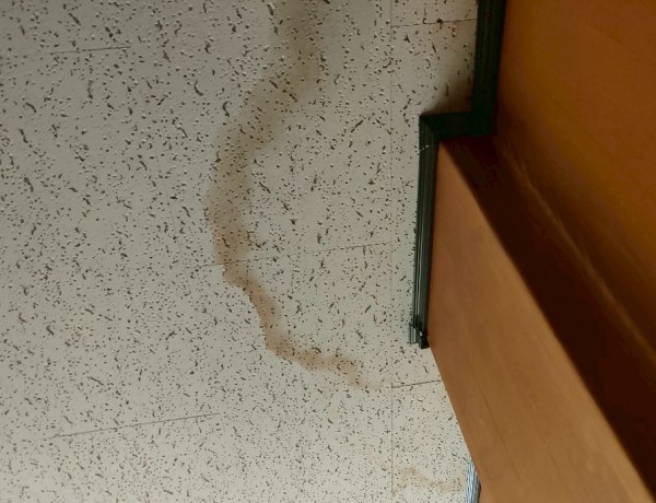 天井のジプトーンに雨漏りのシミ