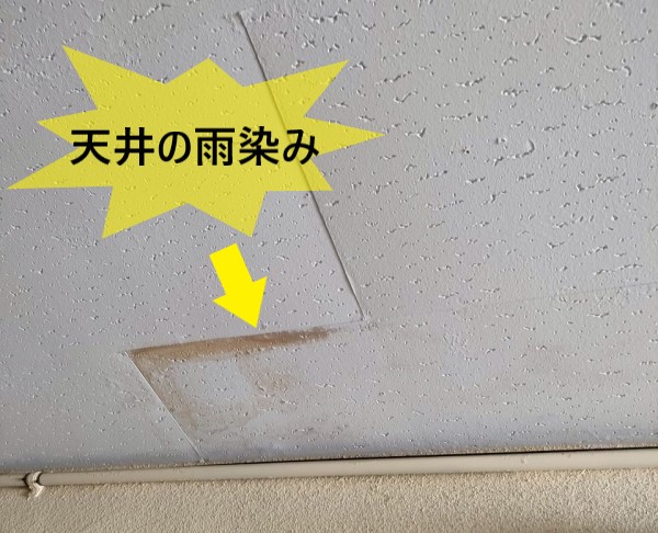 天井の雨染み