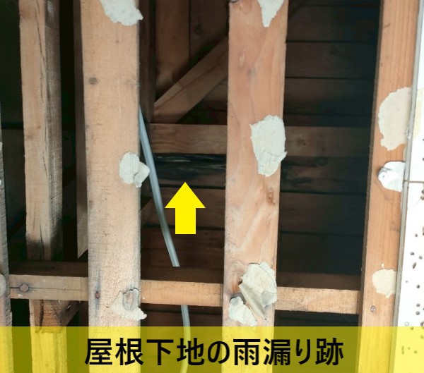 天井板が外れた部分から屋根下地の雨漏り跡が見えました