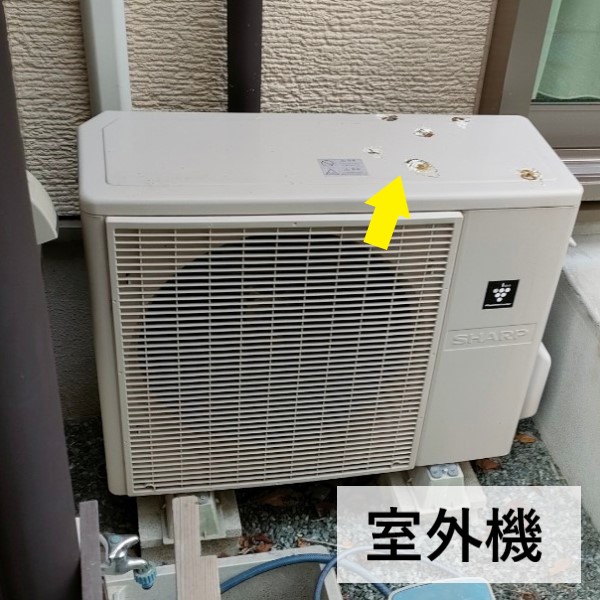 室外機に鳩の糞が溜まっている