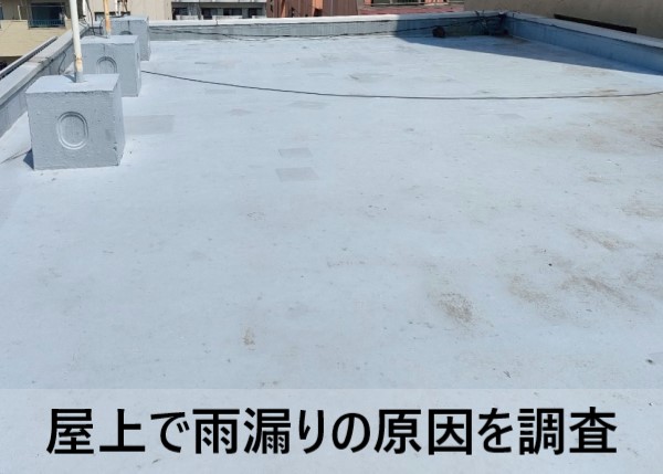 屋上で雨漏りの原因を調査します