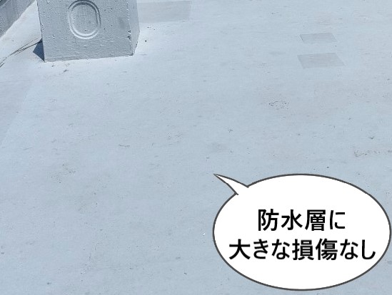 屋上の防水層に大きな損傷はなし