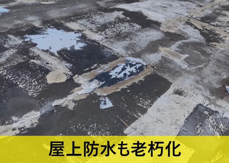 屋上防水も老朽化が進んでいました
