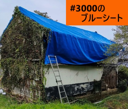 #3000　屋根にブルーシートを被せて雨養生