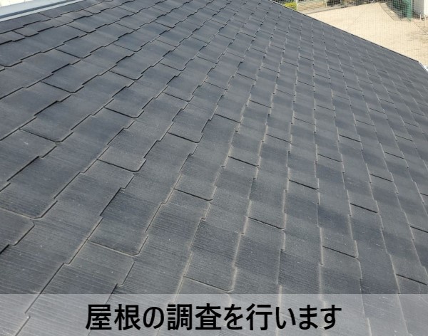 屋根に上って調査を行います