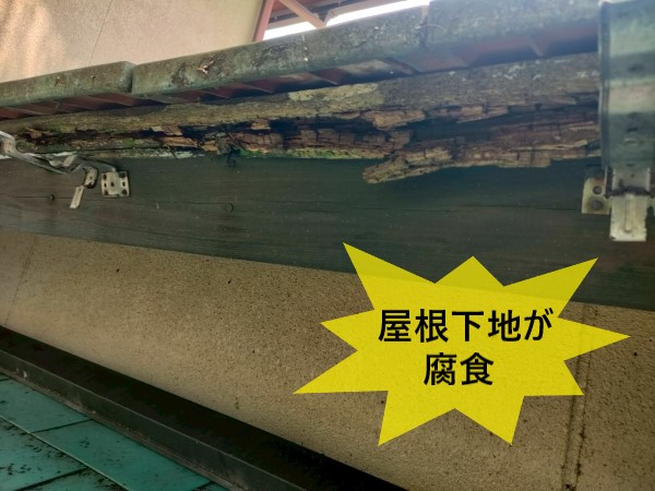 屋根下地が腐食しています