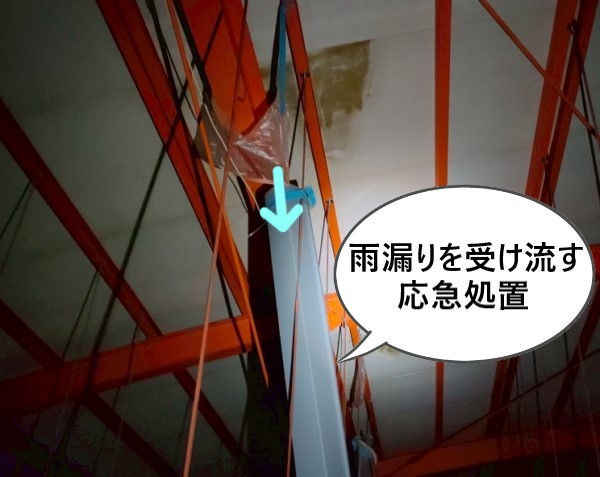 屋根裏で雨漏りを受け流す応急処置を行っていました