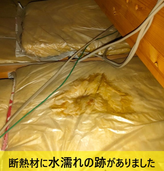 屋根裏の断熱材に水濡れの跡がありましたが雨漏り箇所はなし